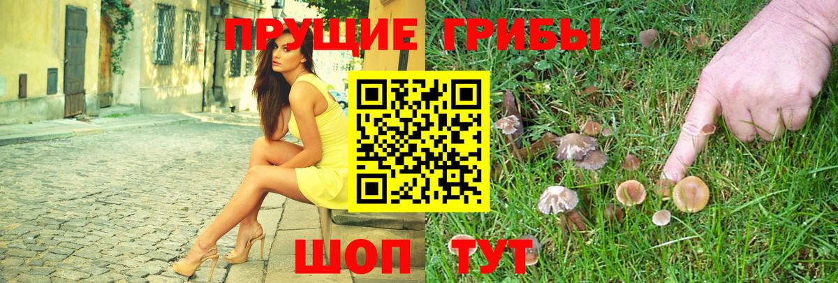 где продают   Вход с VPN  Камень-на-Оби  Галлюциногенные грибы GOLDEN TEACHER 