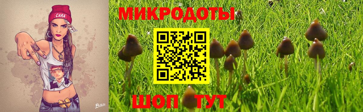 Галлюциногенные грибы Magic Shrooms Камень-на-Оби
